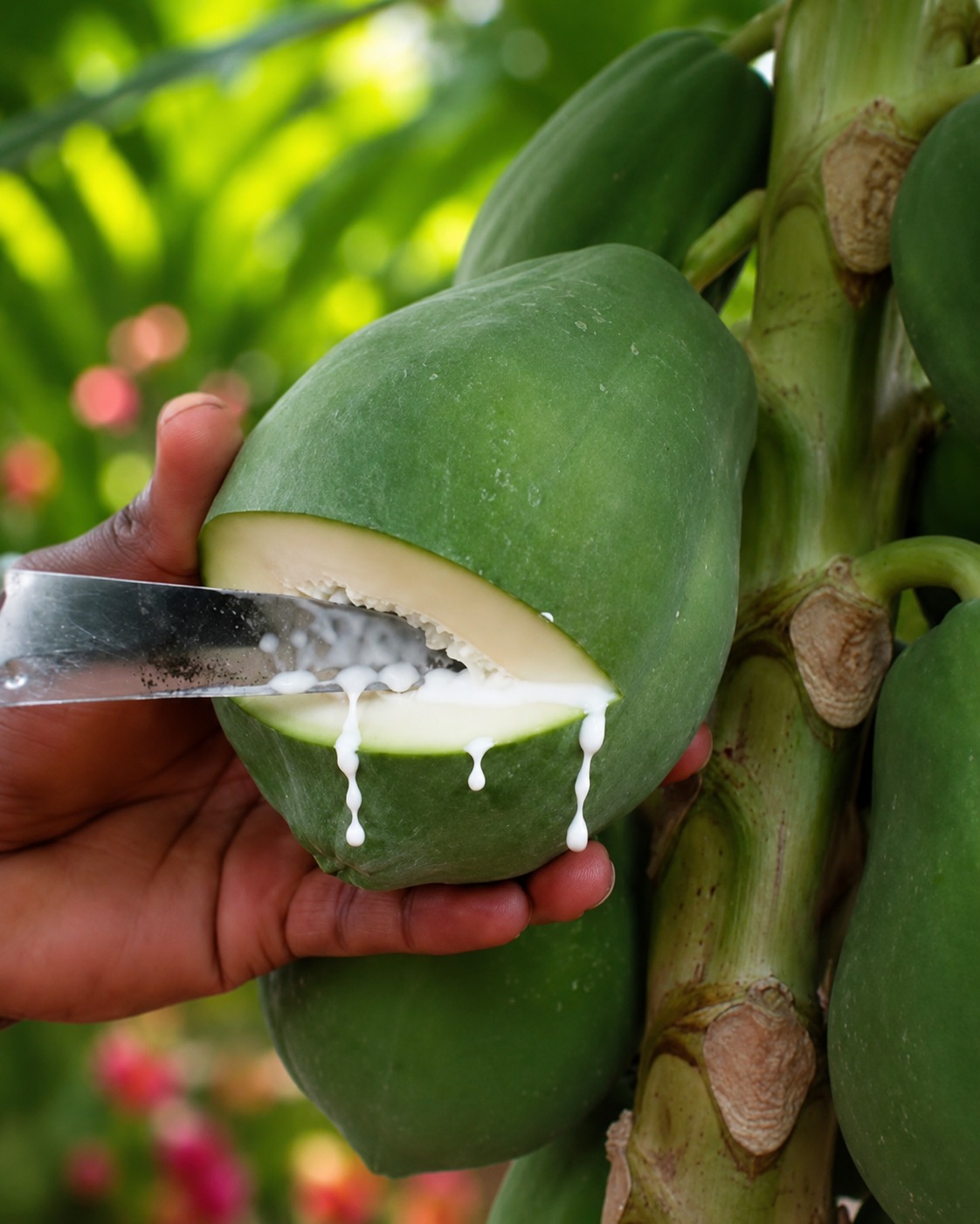 Forget Your Evening Fruit — This One Tiny Drop Supports Your Digestion Naturally