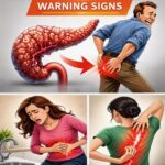 10 Warning Signs of Pancreatic Cancer That You Should Know to Stay Informed About Your Health
